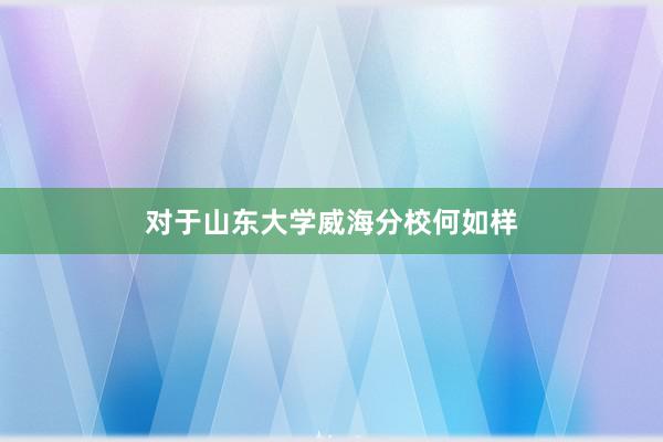 对于山东大学威海分校何如样